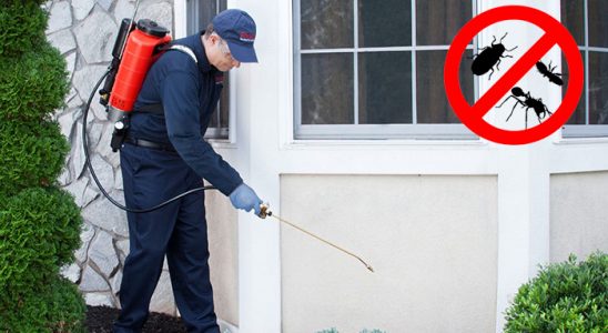 Tortum Kemirgen İlaçlama böcek ilaçlama ve haşere kontrolü — ilaclama-tr.com